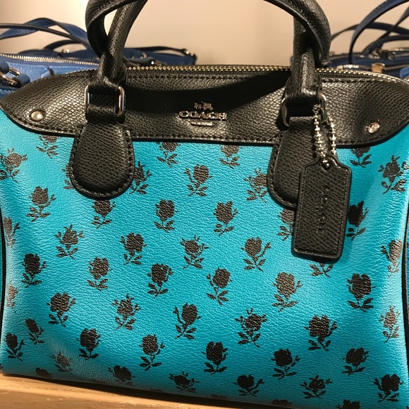 Gorgeous and unique Coach bag! A must have! - Picture 1 of 3